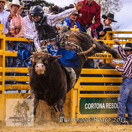 Braidwood1_0315
