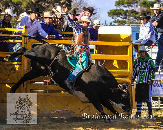 Braidwood1_0930