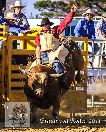 Braidwood1_0904