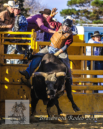 Braidwood1_0923