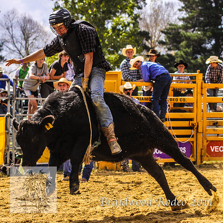 Braidwood1_2740
