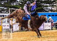 Braidwood1_0324
