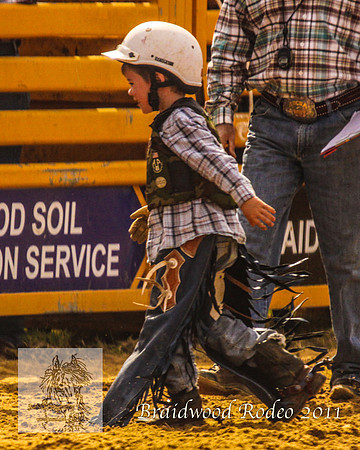 Braidwood1_2655