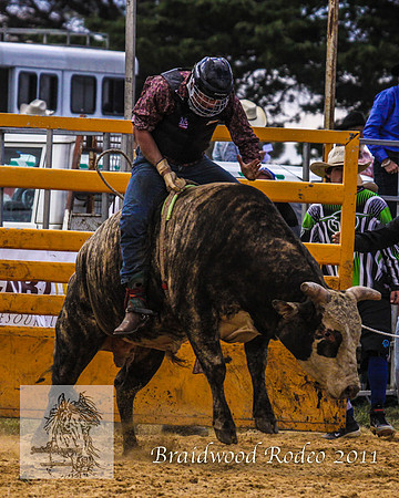 Braidwood1_0184