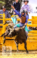 Braidwood1_0290