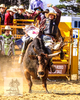 Braidwood1_0372