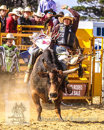 Braidwood1_0372