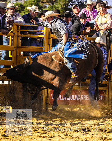 Braidwood1_0893