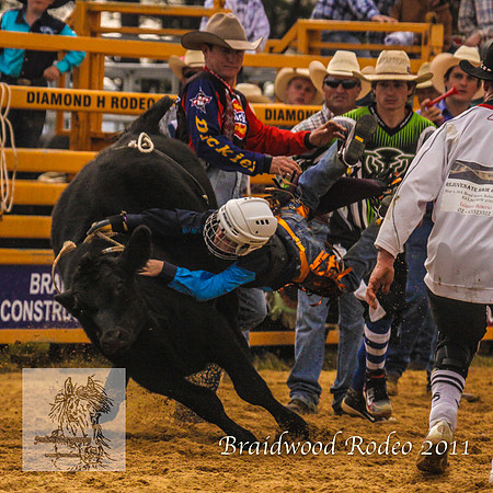 Braidwood1_2679