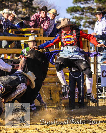 Braidwood1_0998