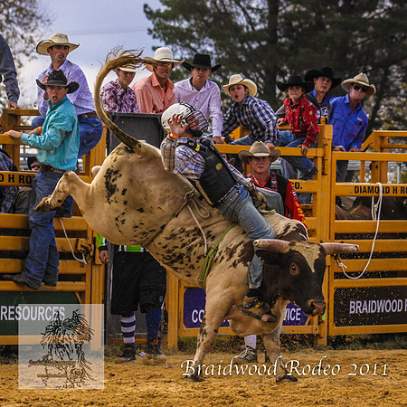 Braidwood1_0195