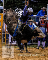 Braidwood1_0174