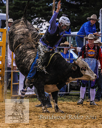 Braidwood1_0174