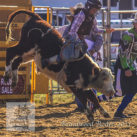 Braidwood1_2320