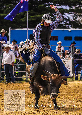 Braidwood1_0208