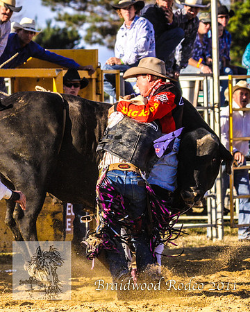 Braidwood1_1002