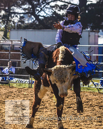 Braidwood1_2411