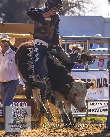 Braidwood1_2338