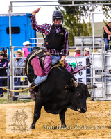 Braidwood1_0342