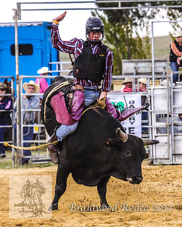 Braidwood1_0342