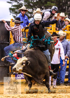 Braidwood1_0308