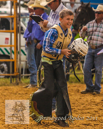 Braidwood1_2695