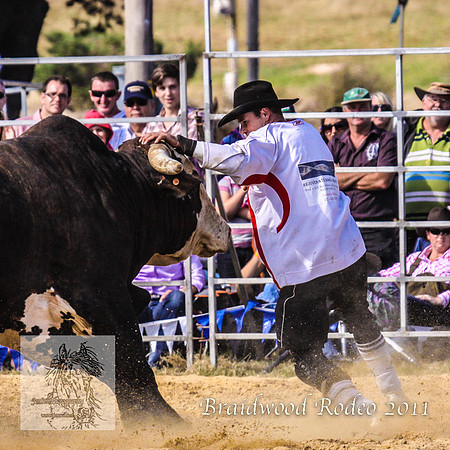 Braidwood1_0405