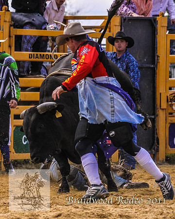 Braidwood1_0192