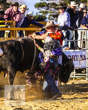 Braidwood1_1000