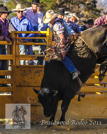 Braidwood1_0981