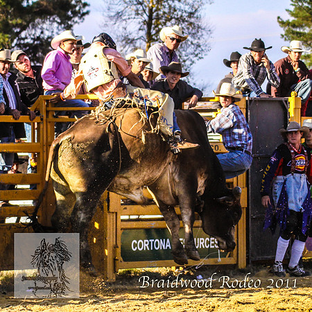 Braidwood1_0889