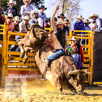 Braidwood1_0378