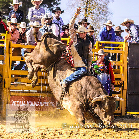 Braidwood1_0378
