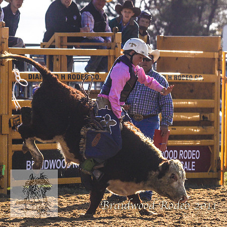 Braidwood1_2332