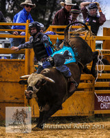 Braidwood1_0167