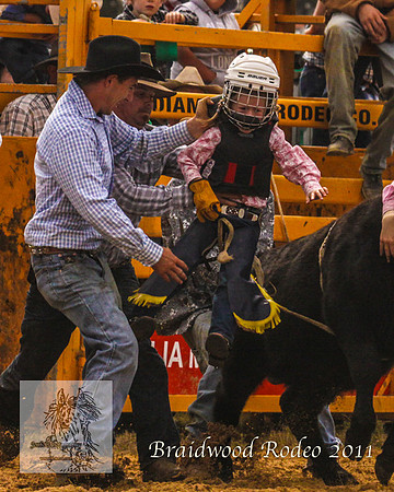 Braidwood1_2669