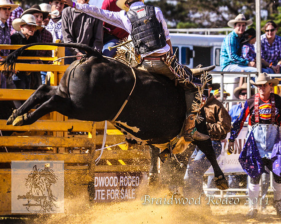 Braidwood1_0392