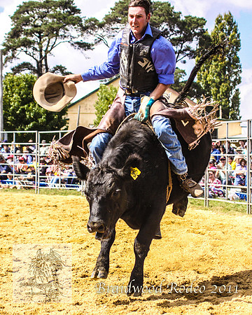 Braidwood1_2750