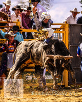 Braidwood1_0146