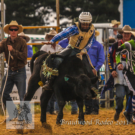 Braidwood1_2689