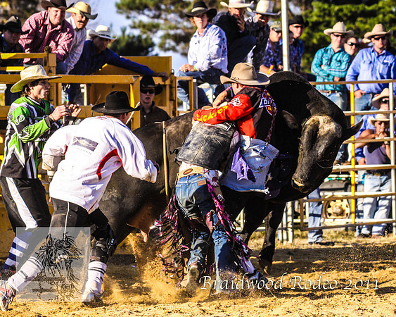 Braidwood1_1003