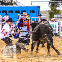 Braidwood1_0354