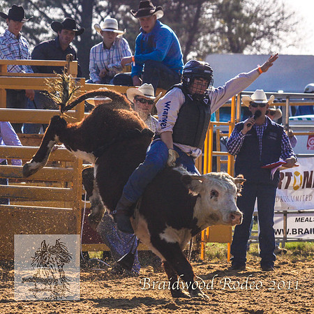 Braidwood1_2399