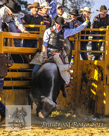 Braidwood1_0950