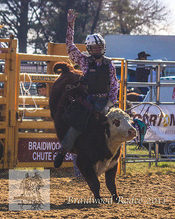 Braidwood1_2345