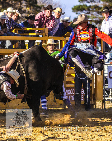Braidwood1_0997