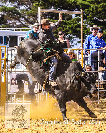 Braidwood1_0363