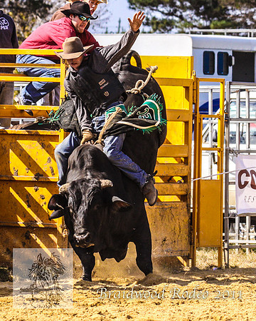 Braidwood1_0355