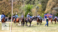 BOB2019_0329