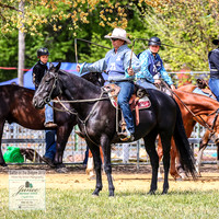 BOB2019_0331